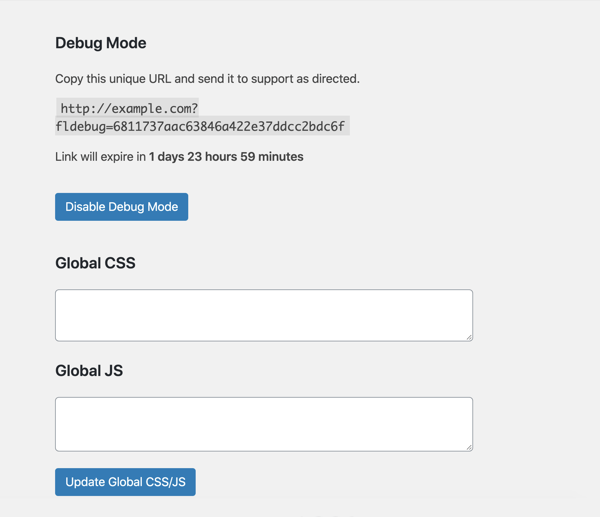 Debug Mode Global CSS/JS